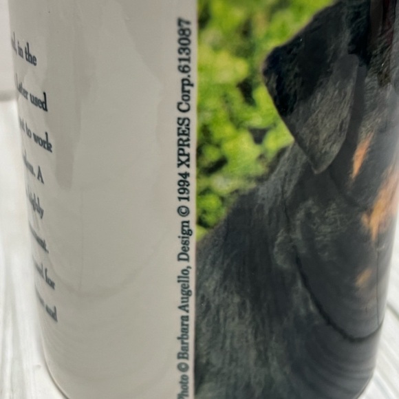 Vintage 1990’s Mug, Stoneware, Rottweiler new old stock - Picture 5 of 5